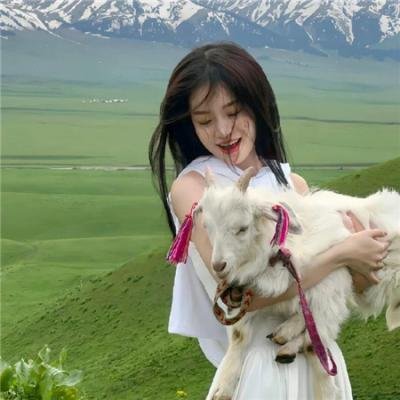 捕风汉子 海报